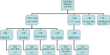 計算機等級考試 網絡與信息安全軟件開發證書的價值與前景